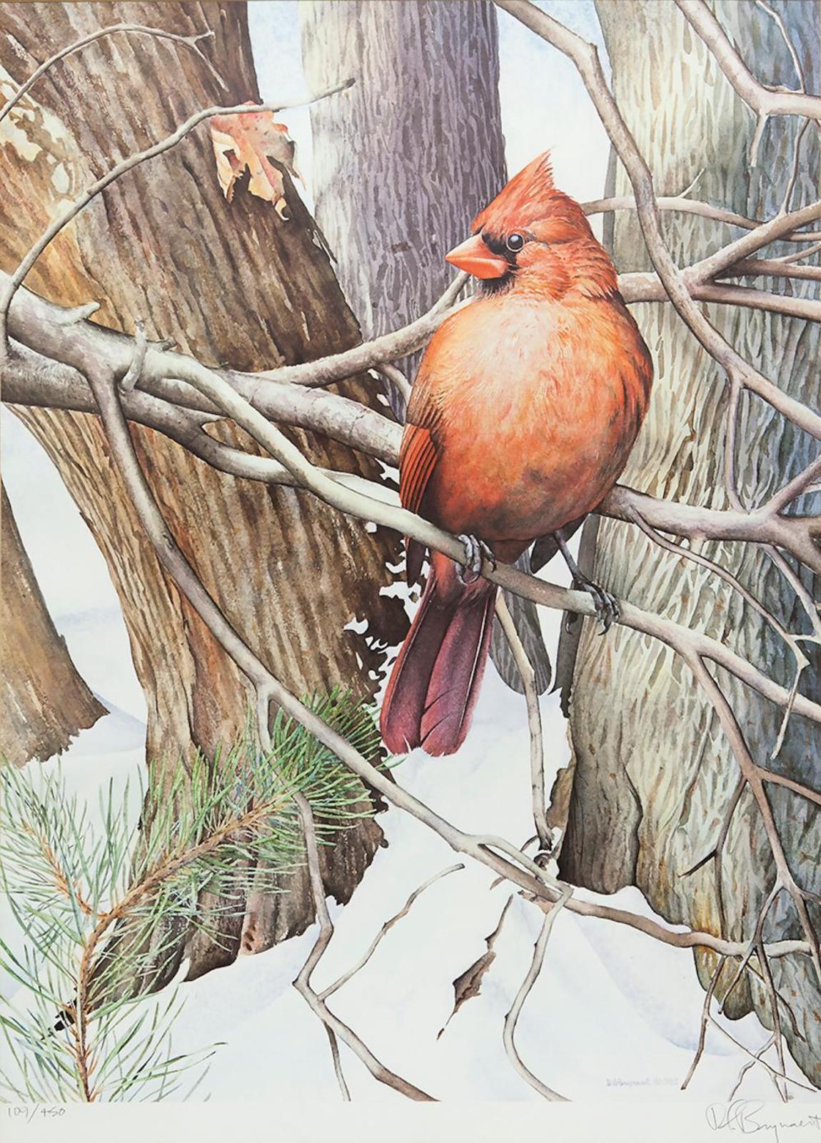 D. G. Brynaert - Untitled - Cardinal