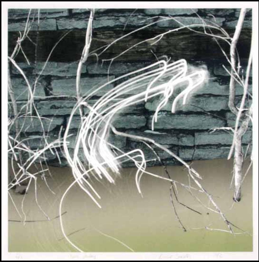 Bonnie Sheckter (1951) - Neon Fantasy (00454/2013-T243)
