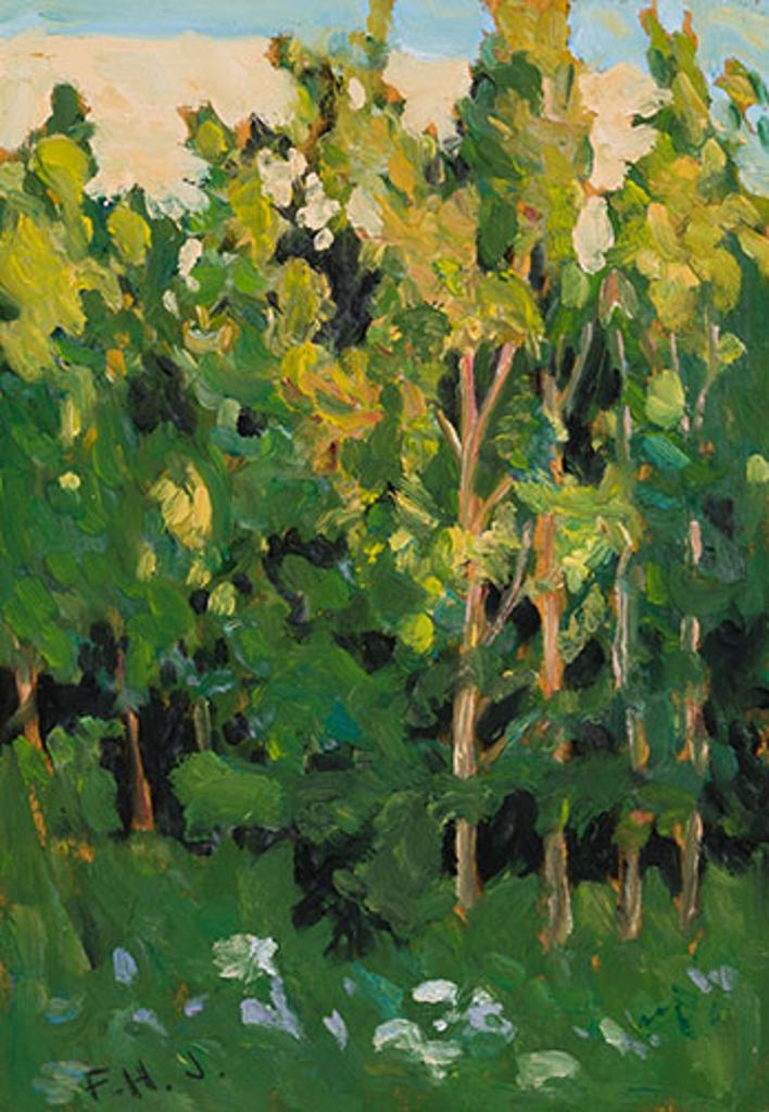 Frank (Franz) Hans Johnston (1888-1949) - Suntipped