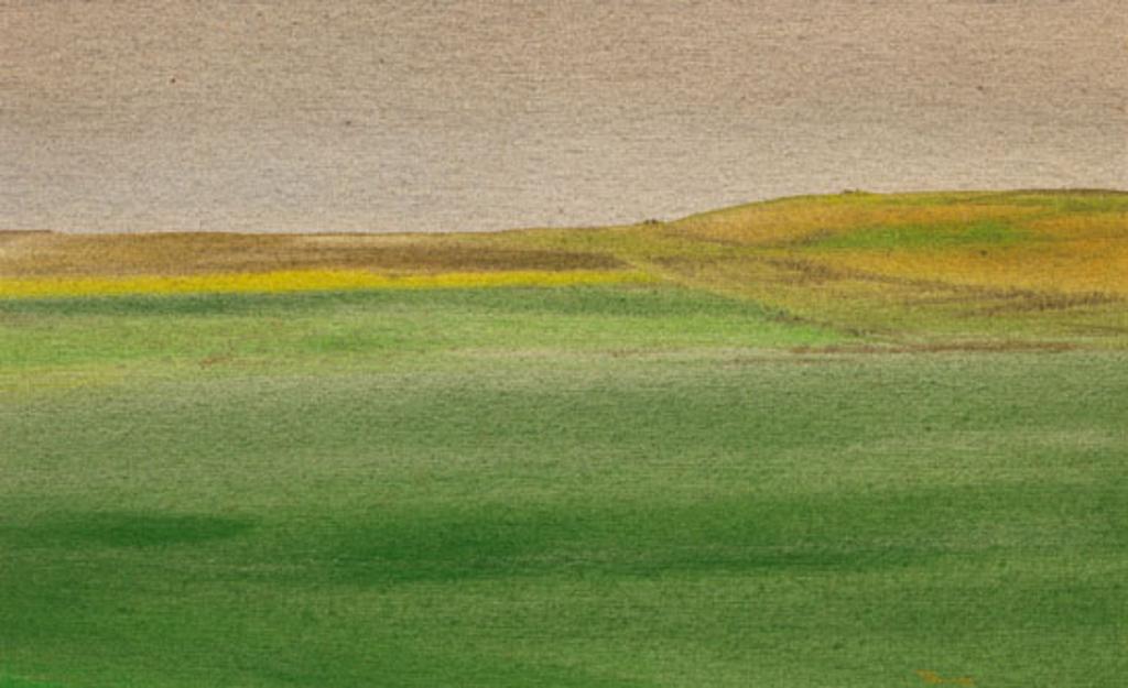 Takao Tanabe (1926) - Prairie Landscape