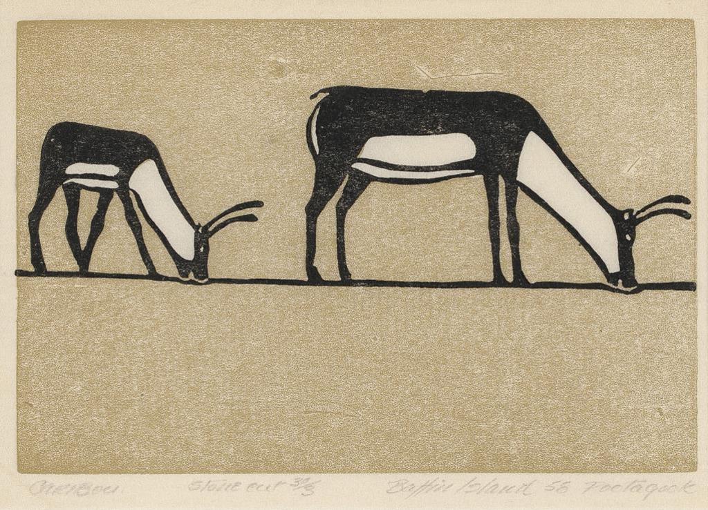 Joseph Pootoogook (1887-1958) - Kananginak Pootoogook RCA