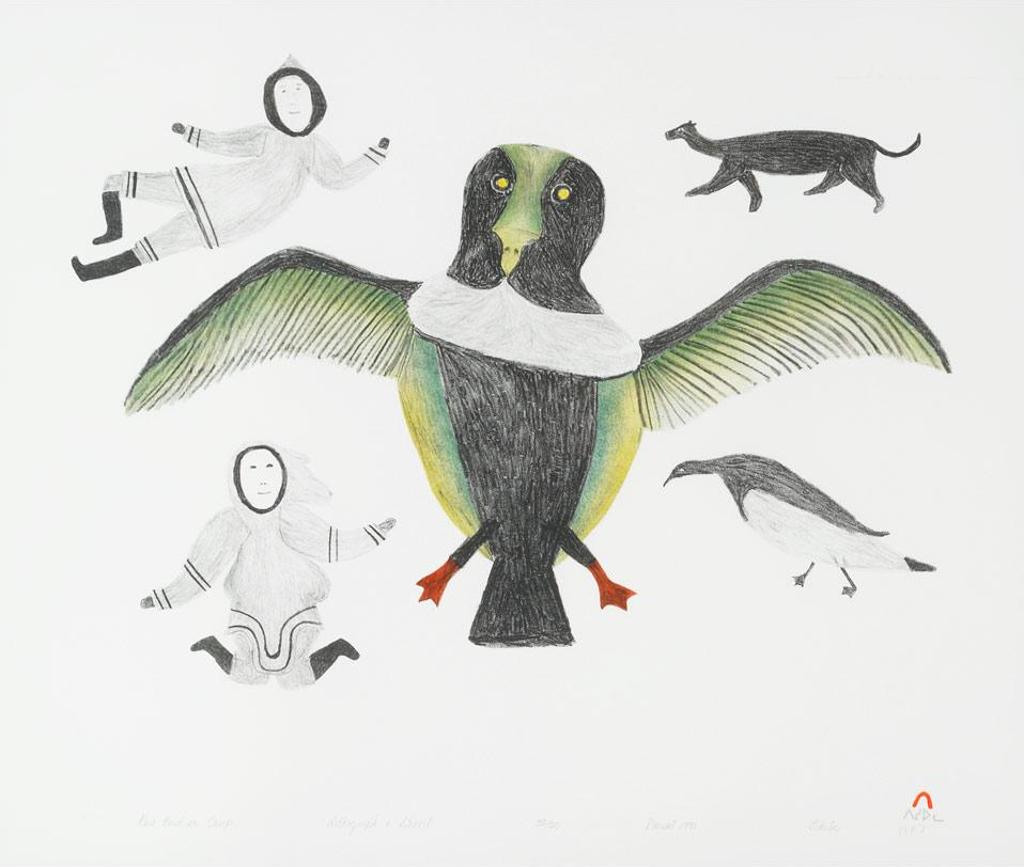 Tikituk Quppapik (1908) - New Birds In Camp