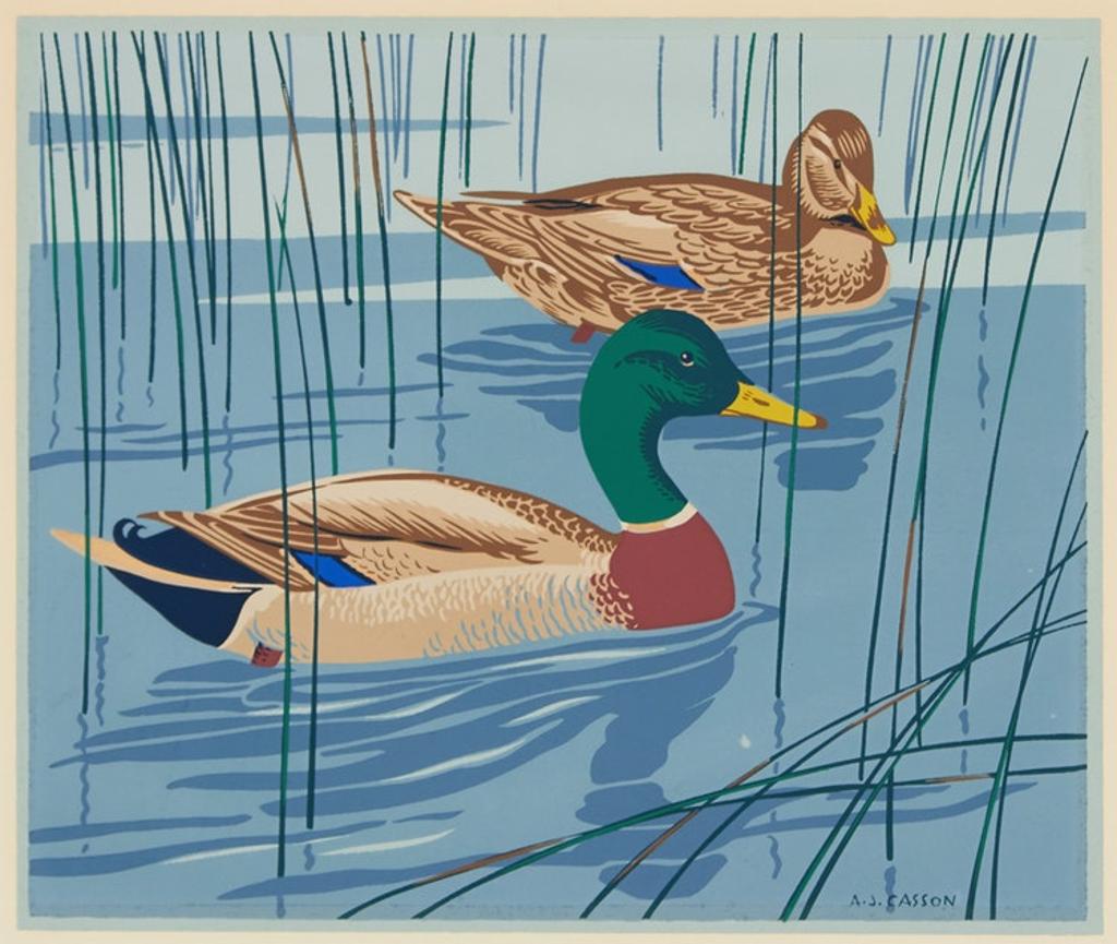Alfred Joseph (A.J.) Casson (1898-1992) - The Common Mallard