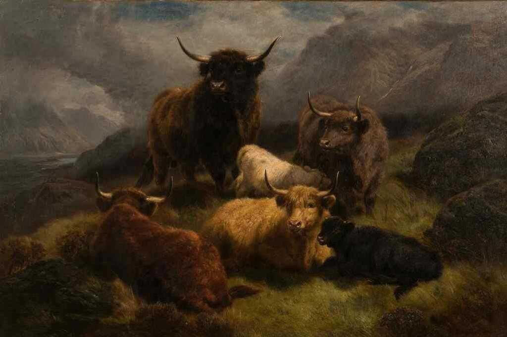 William Ralph Watson (1847-1921) - Highland Monarch