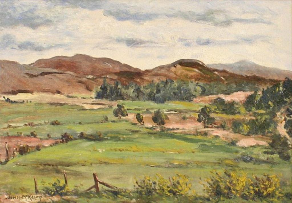 John MacKillop - Untitled