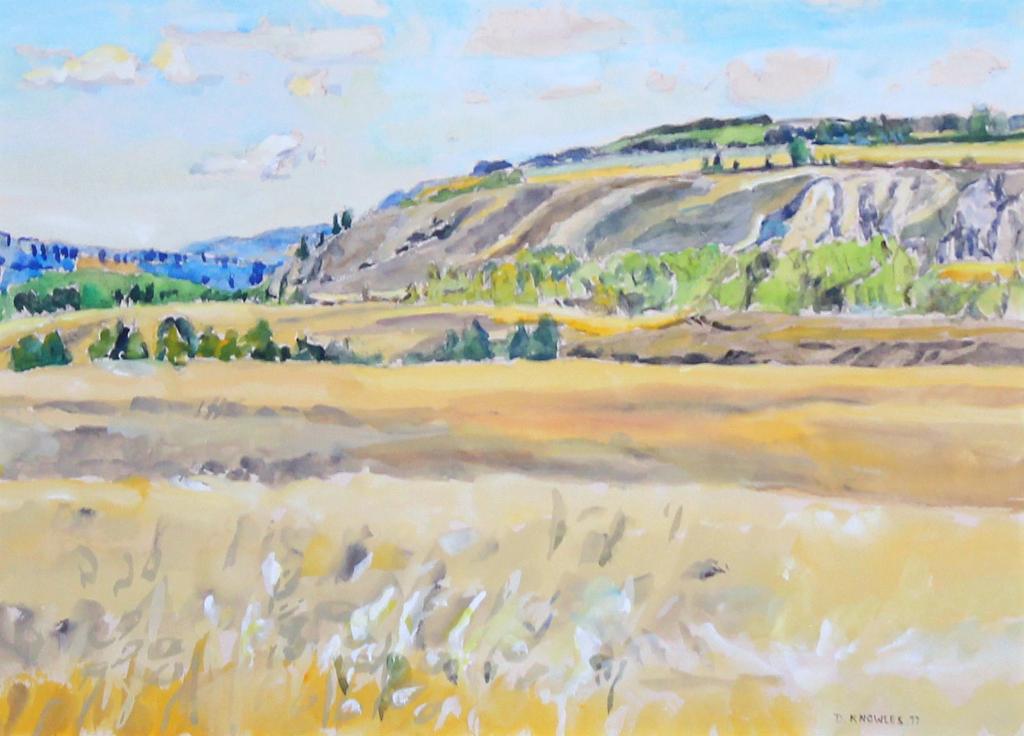 Dorothy Elsie Knowles (1927-2001) - Hill Vale; 1977