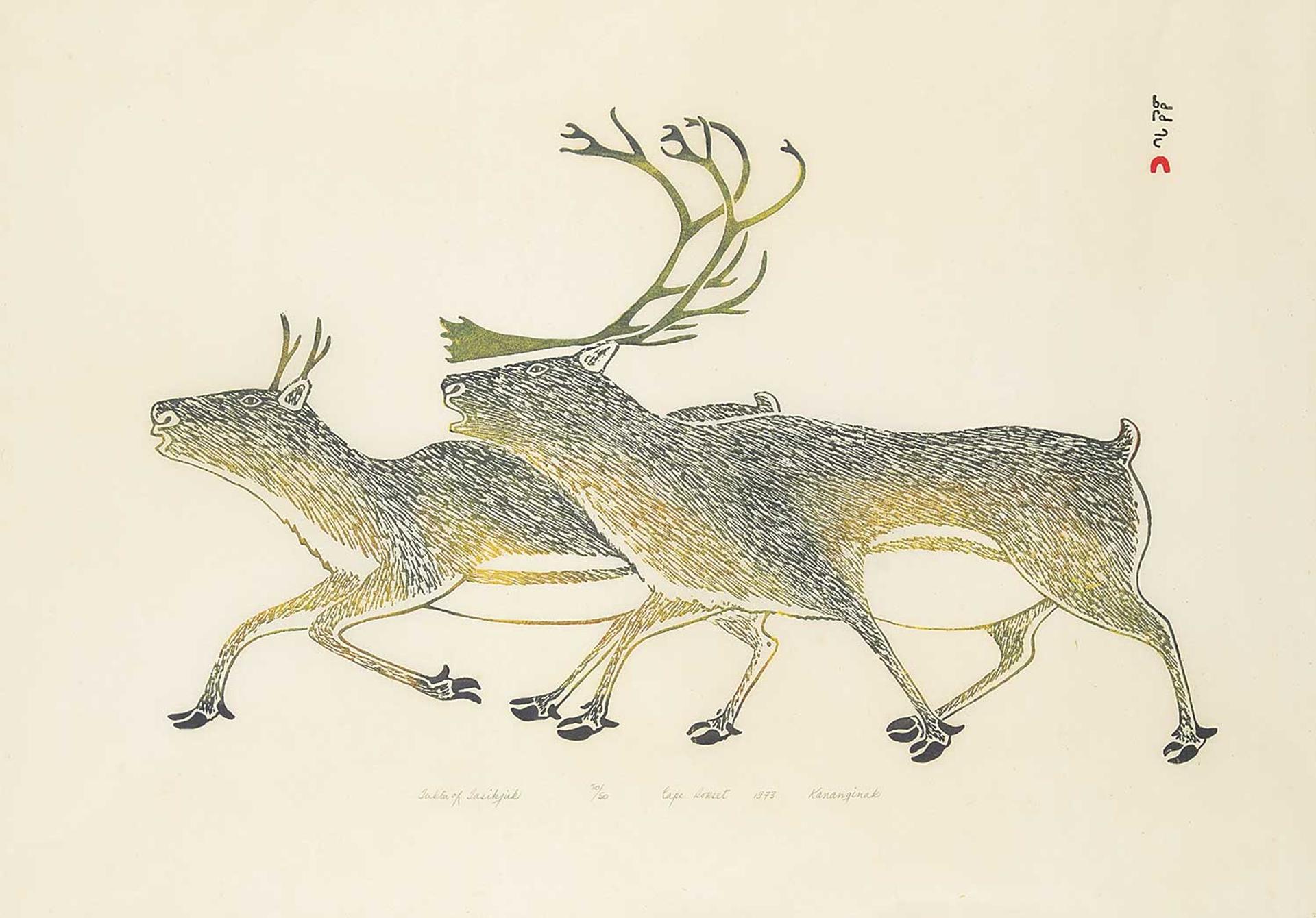Kananginak Pootoogook (1935-2010) - Tuktu of Tasikjuak #50/50