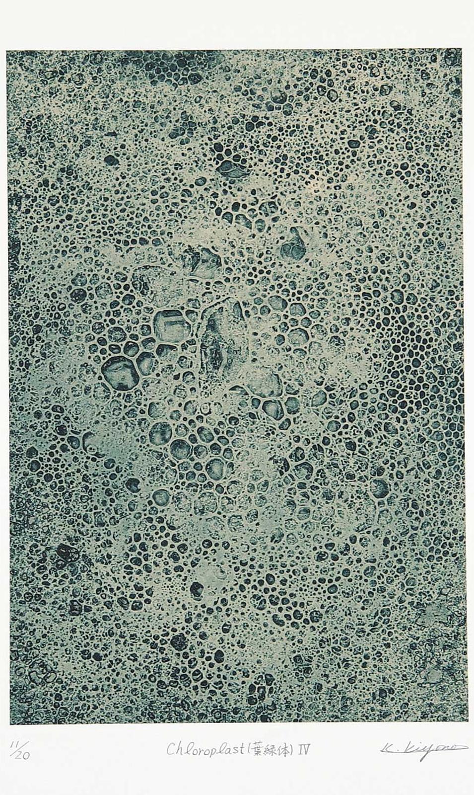 Koichi Kiyono - Chloroplast IV #11/20