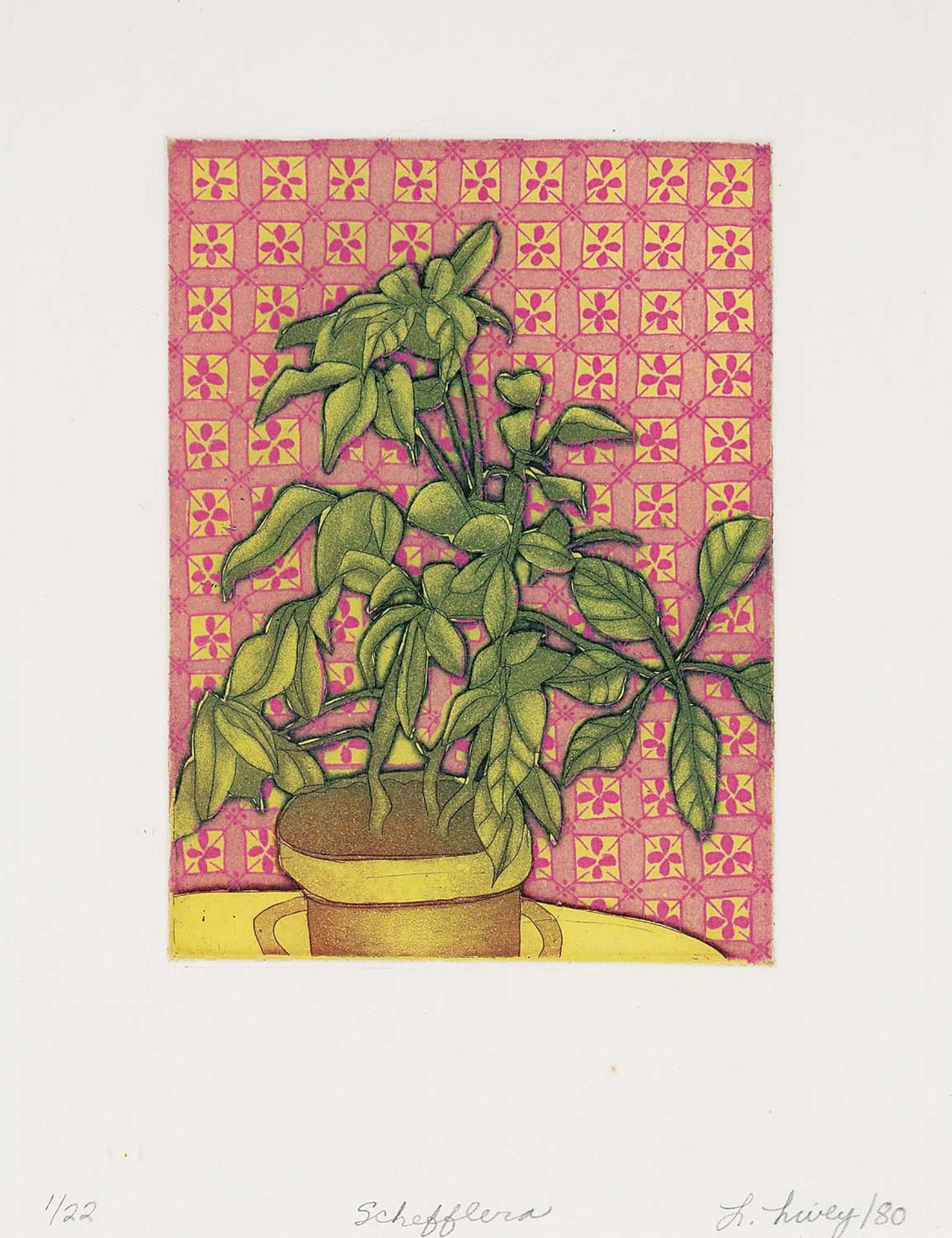 Lorna Livey - Schefflera #1/22