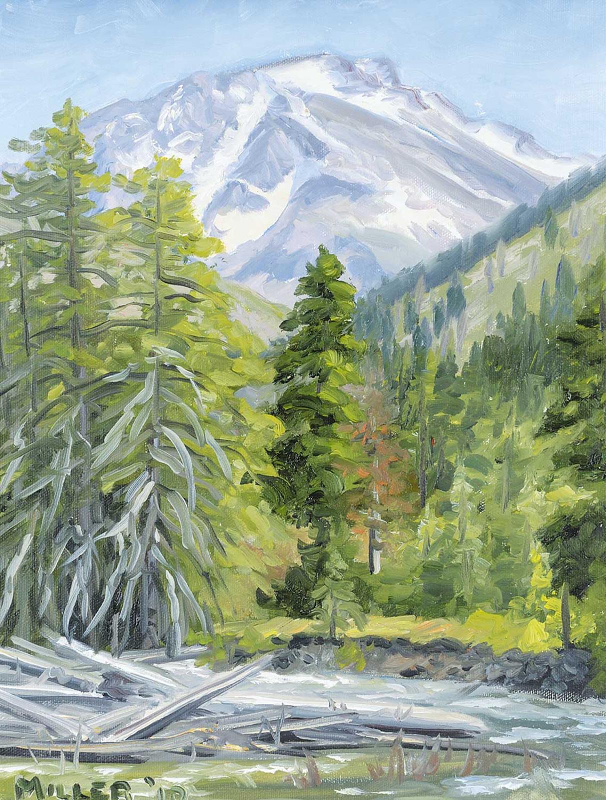 Doug Miller - Untitled - Mountain Stream