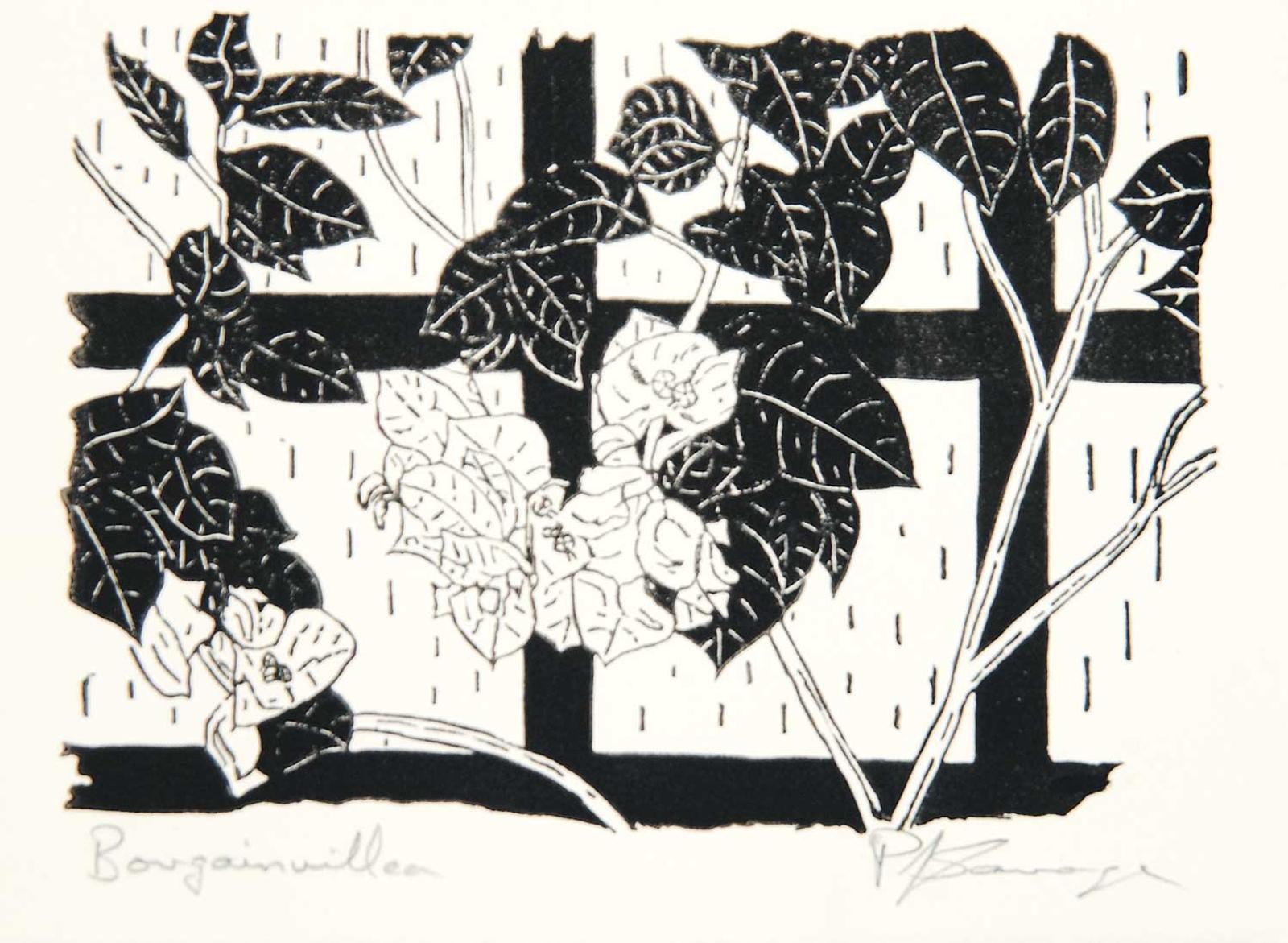 Peter J. Savage (1927-2015) - Bougainvillia