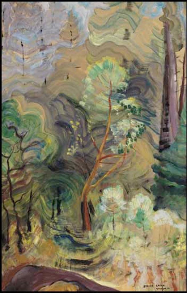 Emily Carr (1871-1945) - Young Arbutus