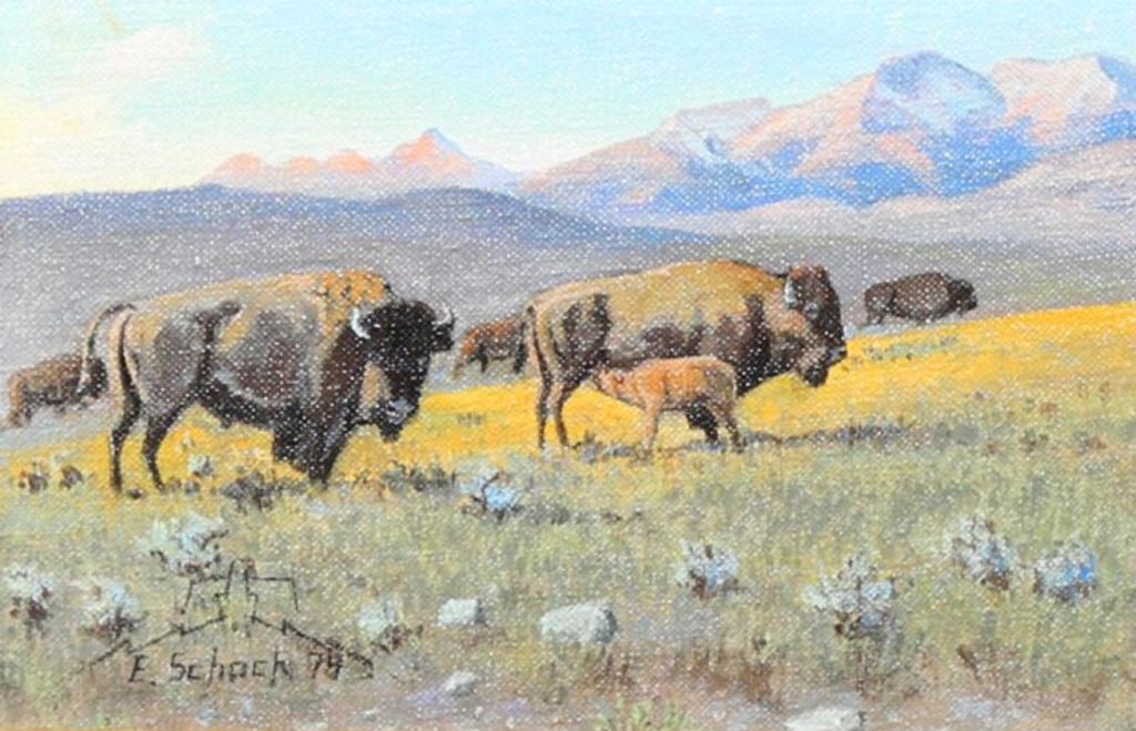 Elmer Schock (1970) - BISON; 1974