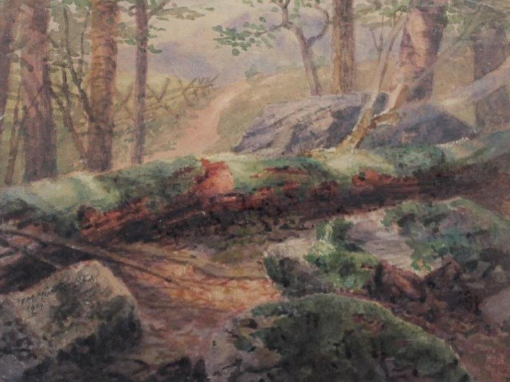 Thomas Mower Martin (1838-1934) - Forest Interrior