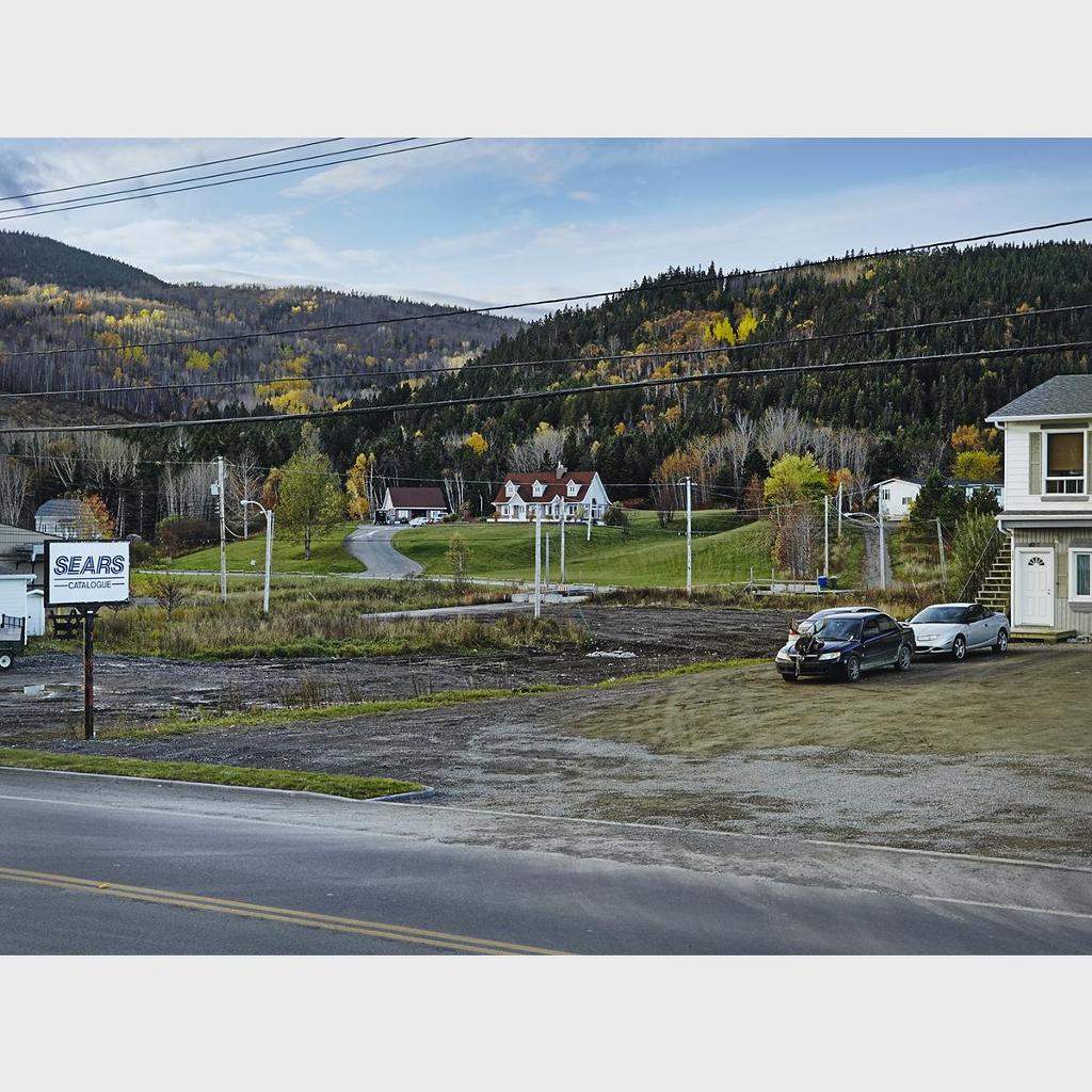 Jason Brown - Moose Season In The Gaspe, Riviere-Au-Renard, Qc, 2011