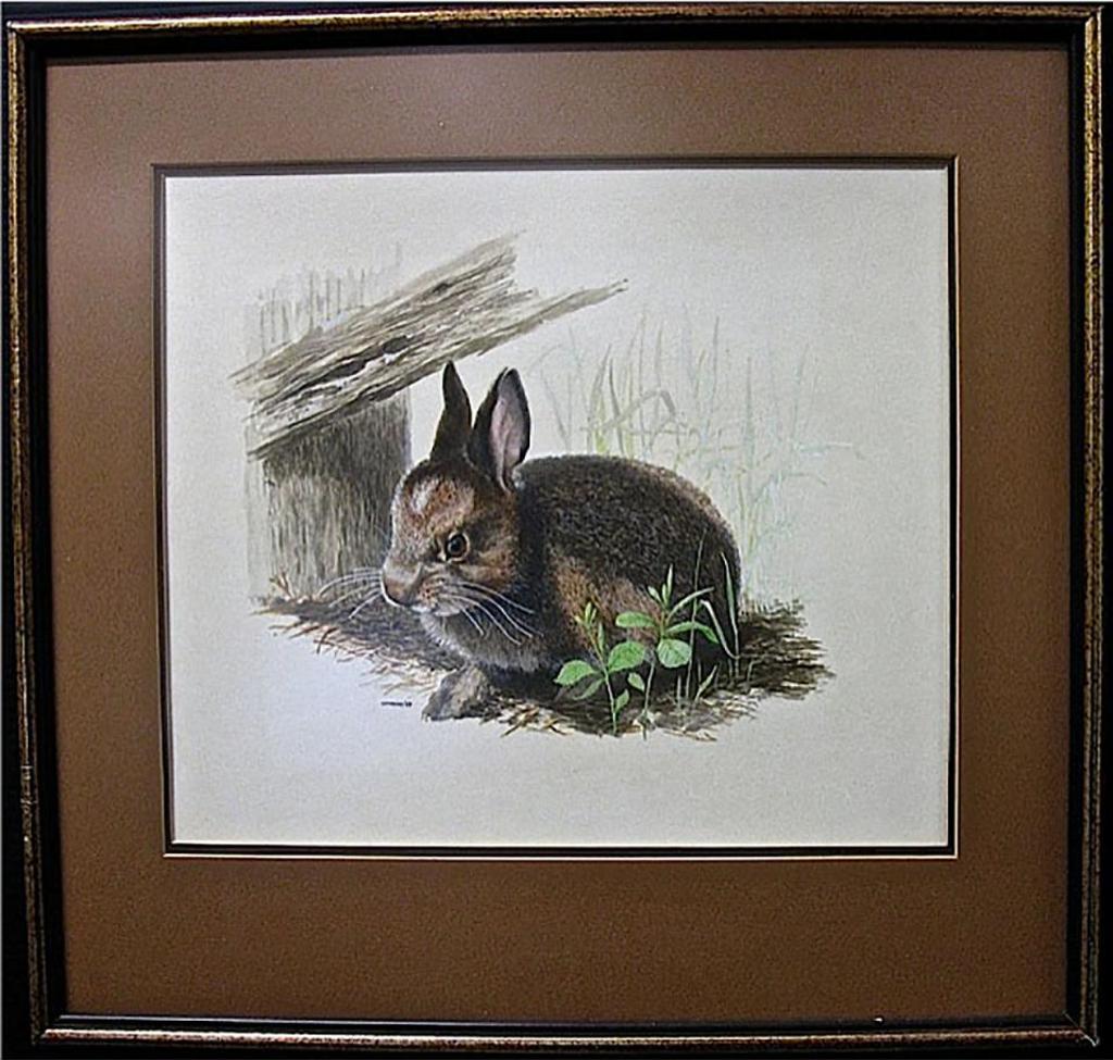 James Richard Lumbers (1929) - Bunny Rabbit