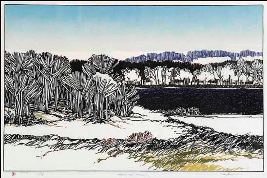Walter (Drahanchuk) Drohan (1932-2007) - Beyond the Willows (03002/2013-871)