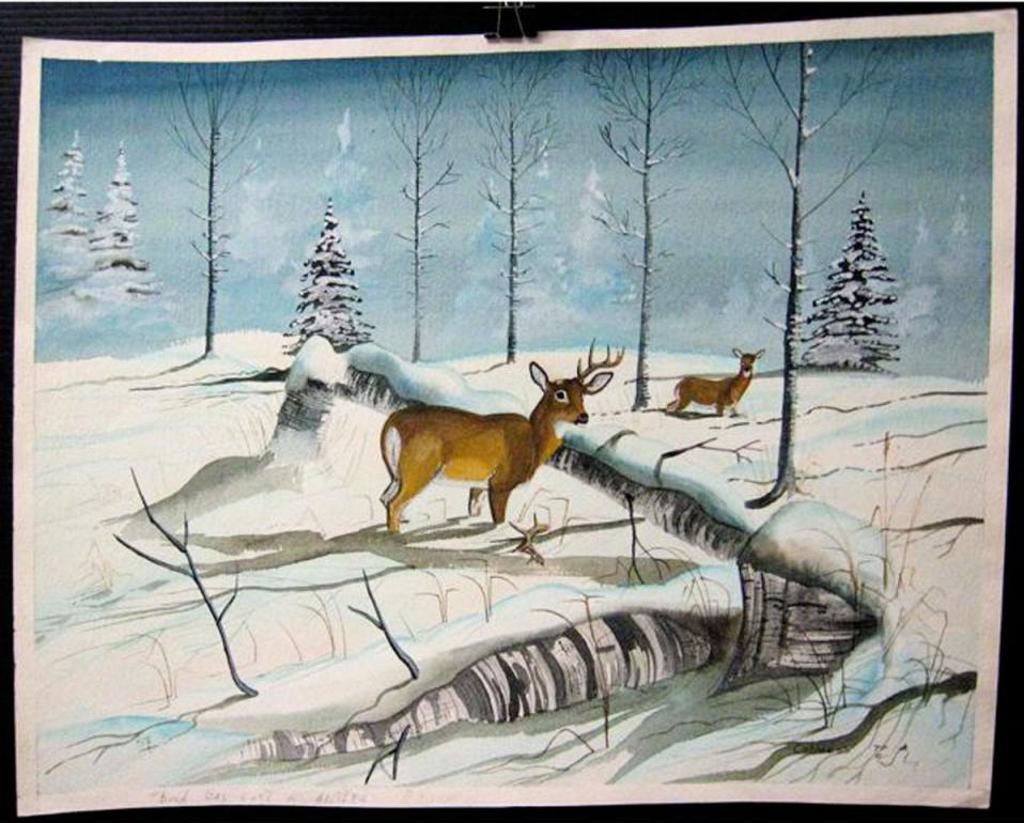 Eddy Cobiness (1933-1996) - Buck Has Lost An Antler