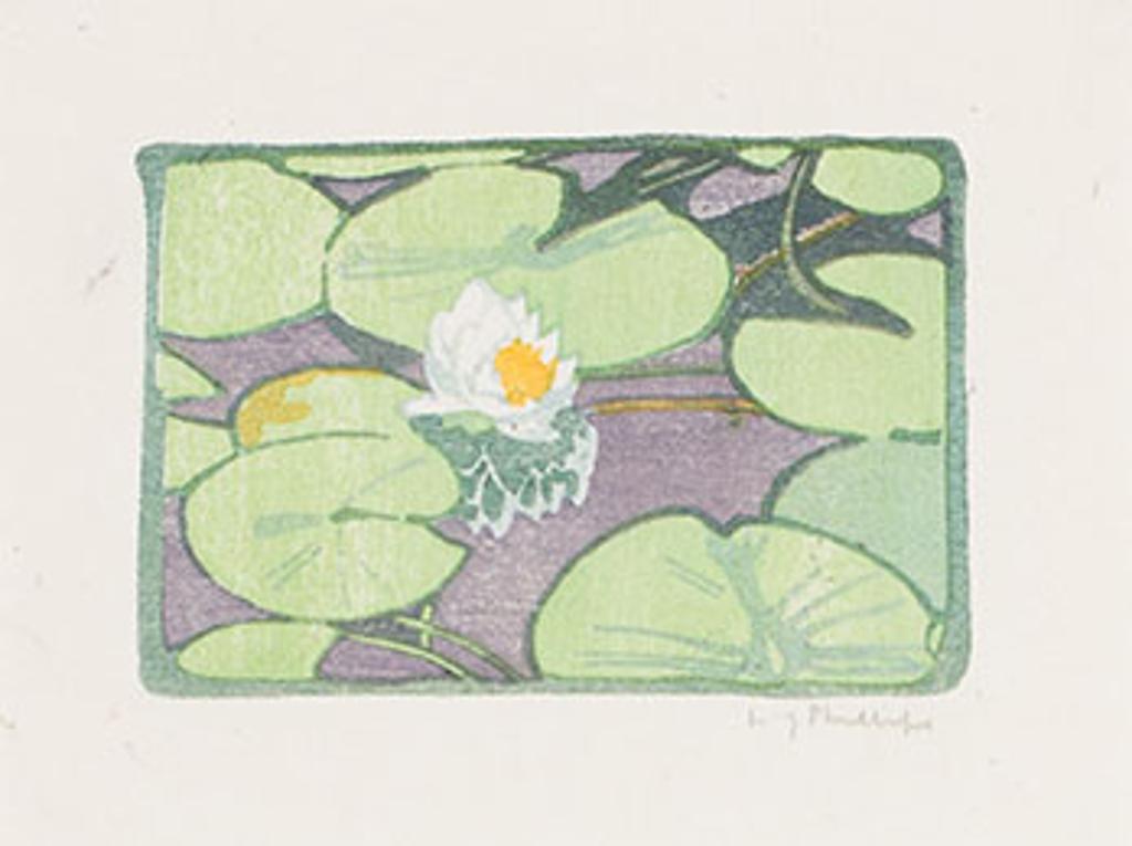 Walter Joseph (W.J.) Phillips (1884-1963) - The Lily
