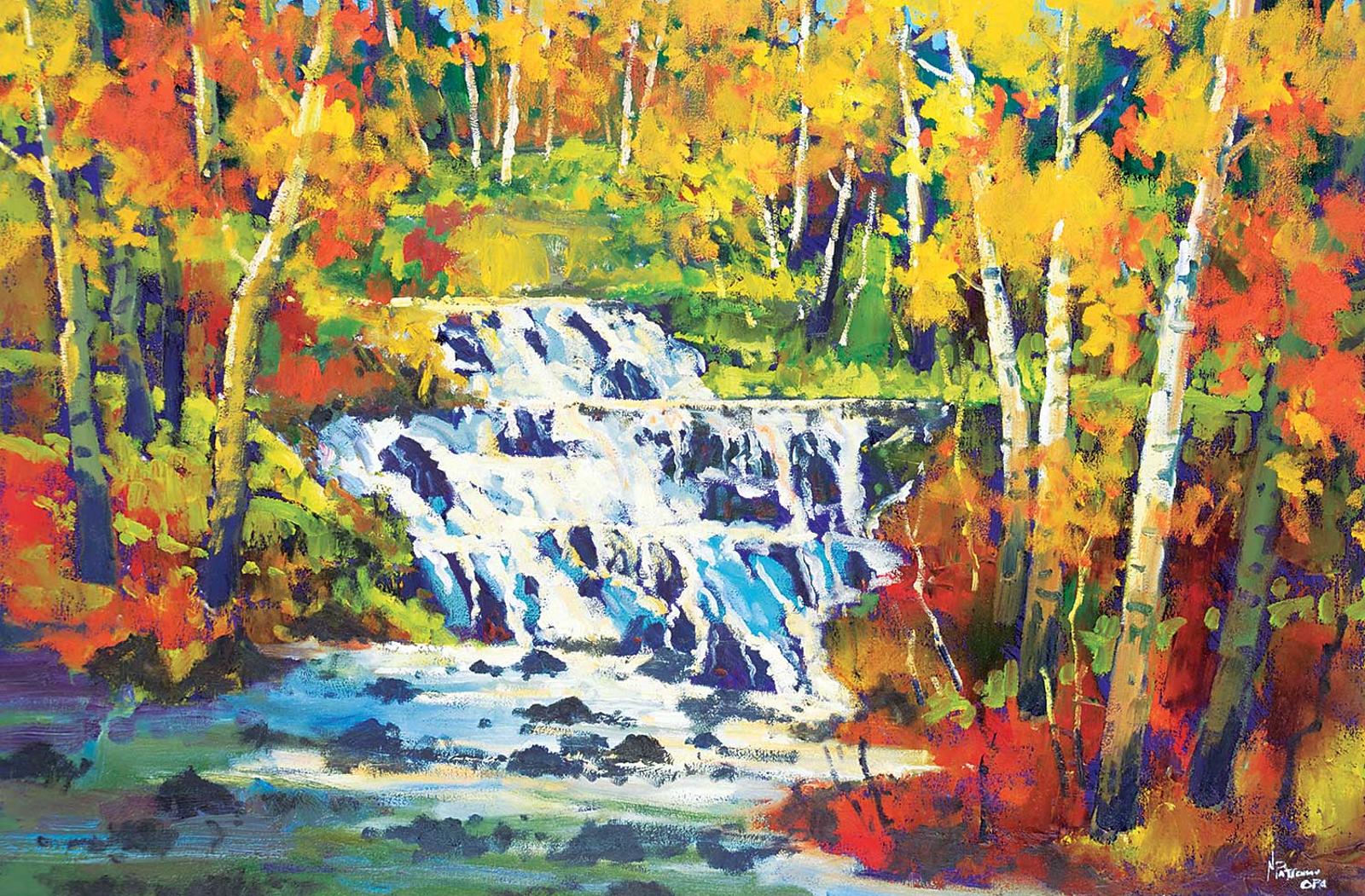 Neil Patterson (1947) - Falls