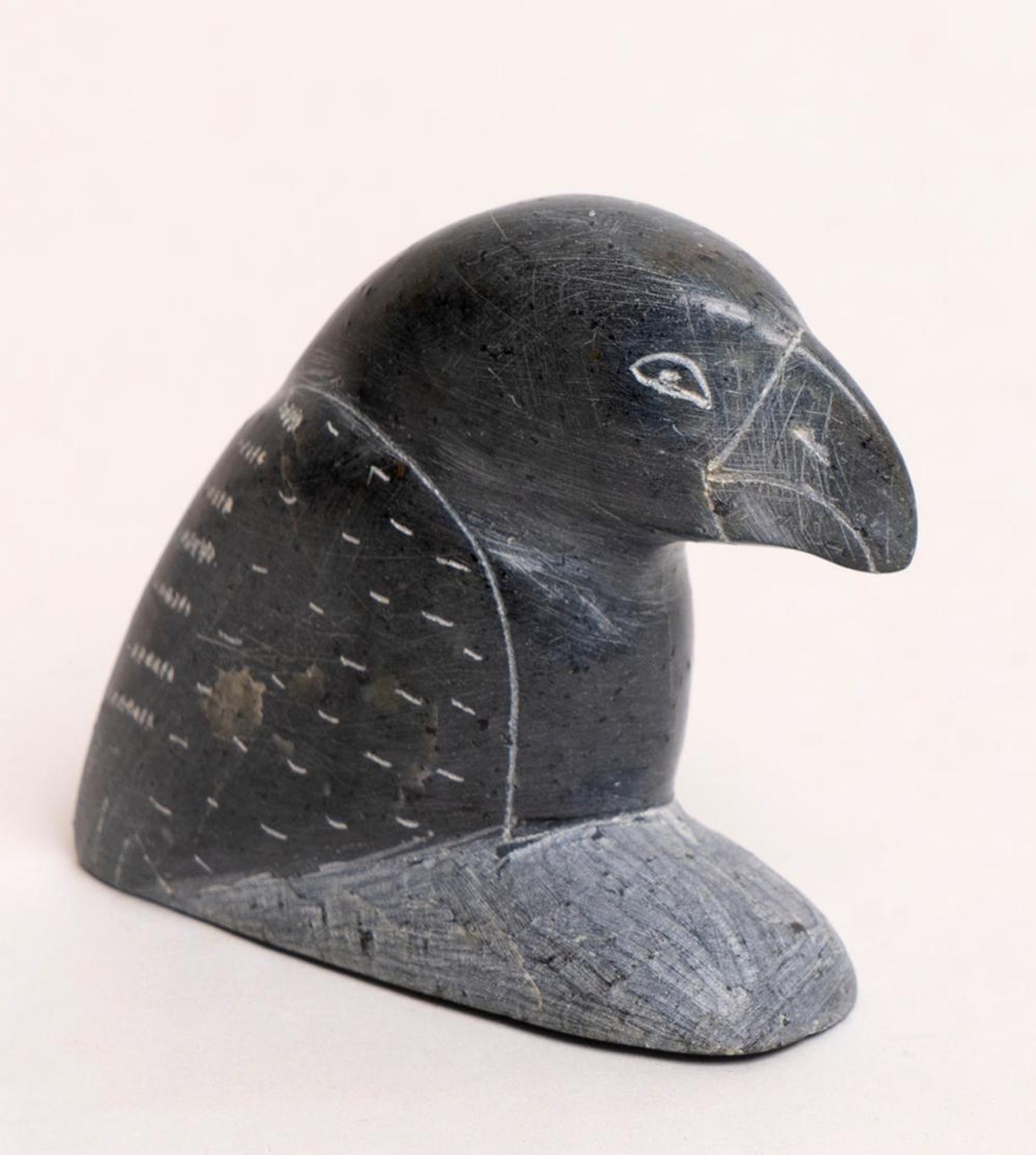 Steven Shemuashe - Bird