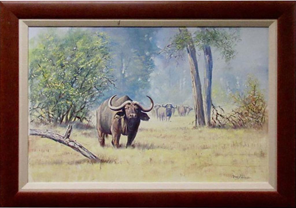 Dennis Hutchinson - African Buffaloes