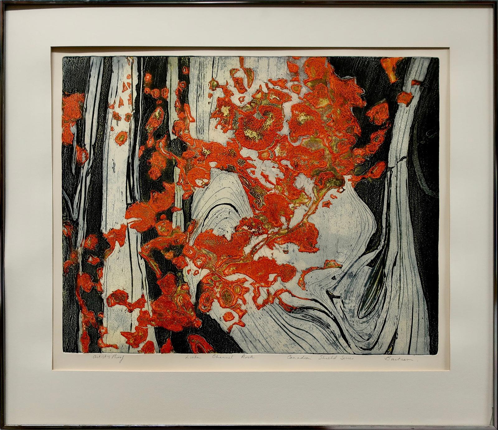Edward John (Ted) Bartram (1938-2019) - Lichen Channel Rock - Canadian Shield Series