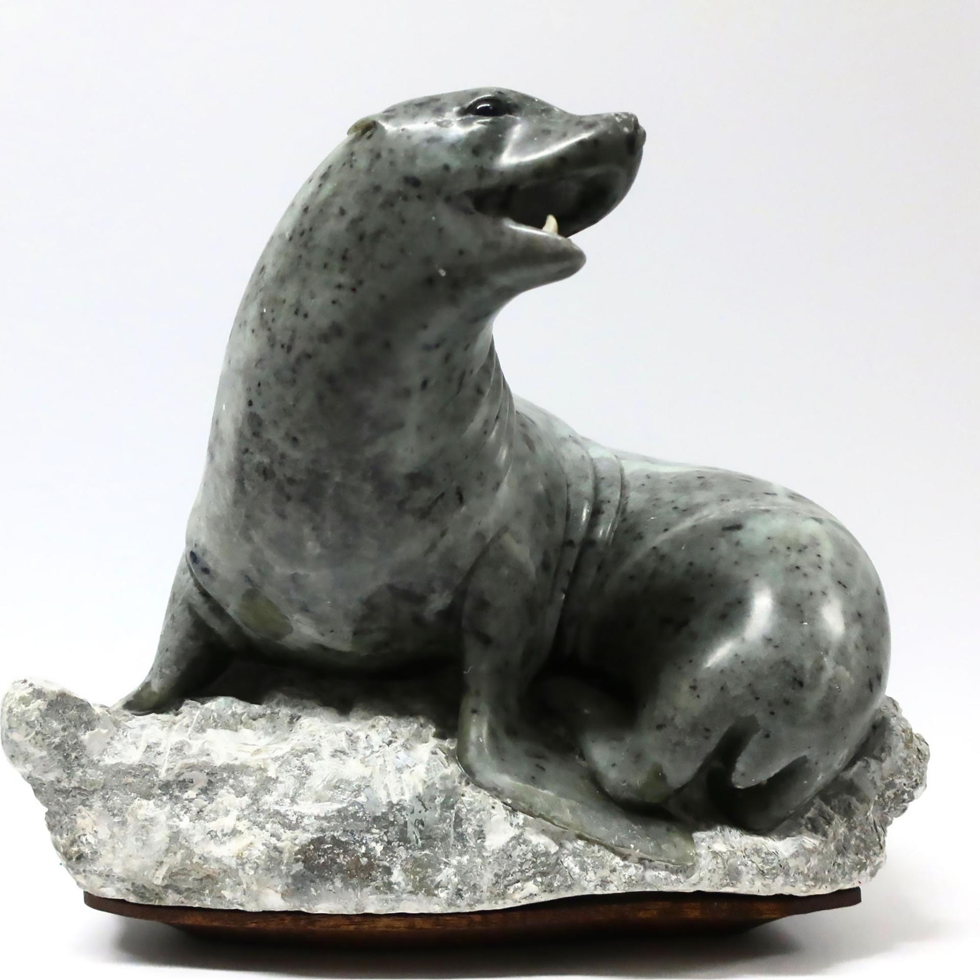 Alexander (Alex) Schick (1945) - Seal On Alert