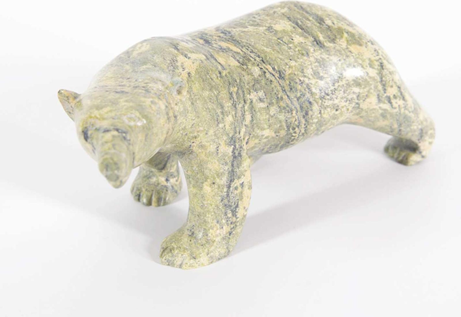 Tukpanie - Bear