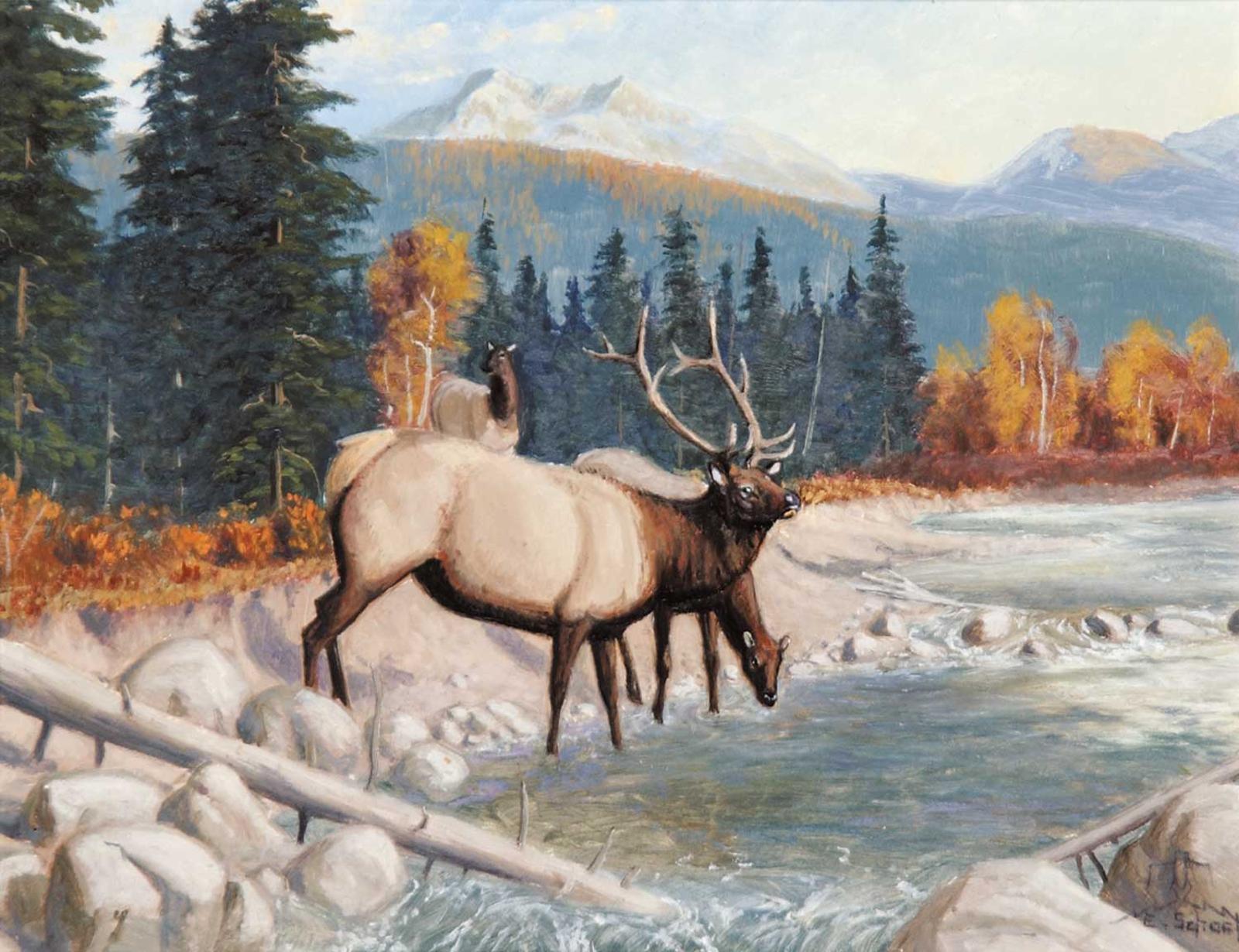 Elmer Schock (1970) - Elk