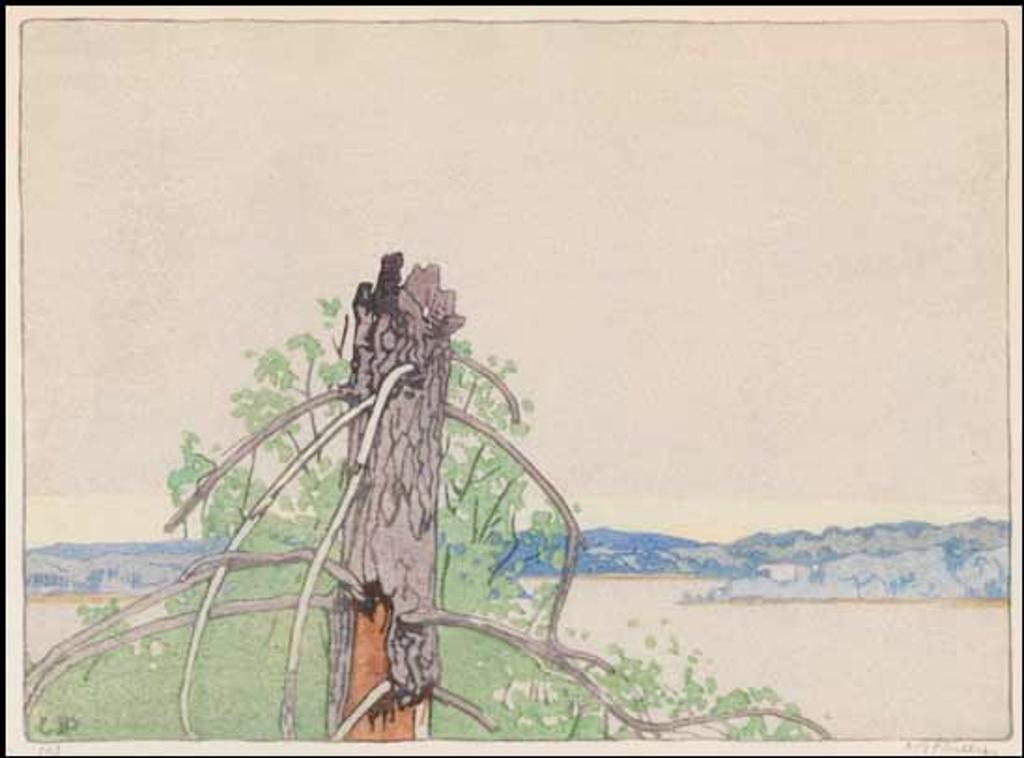 Walter Joseph (W.J.) Phillips (1884-1963) - The Stump