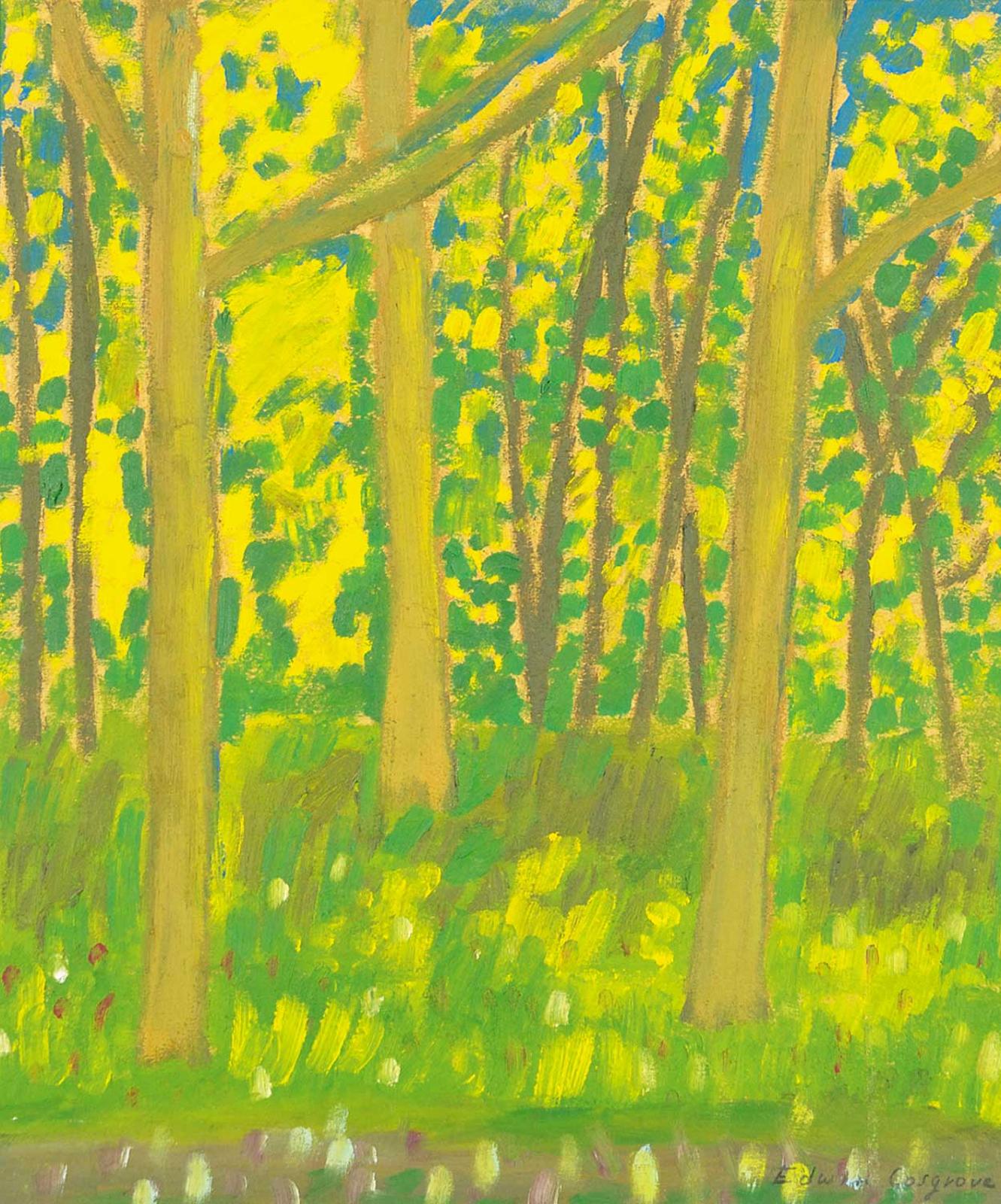 Edwin Cosgrove - Untitled - Through the Trees