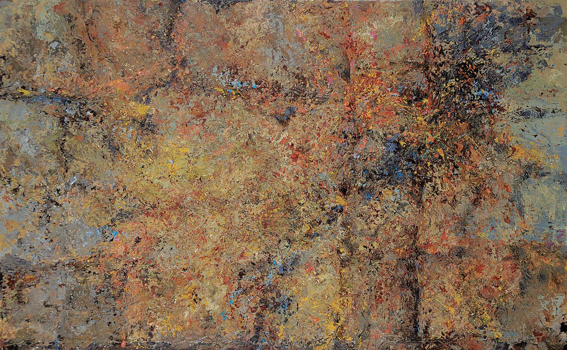 Colleen L. Meneer - Ancient Walls of Ireland