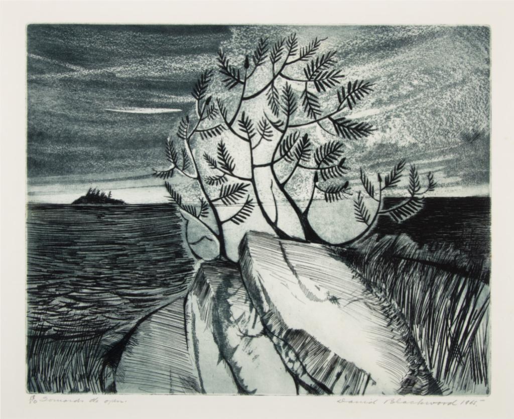 David Lloyd Blackwood (1941-2022) - Towards the Open