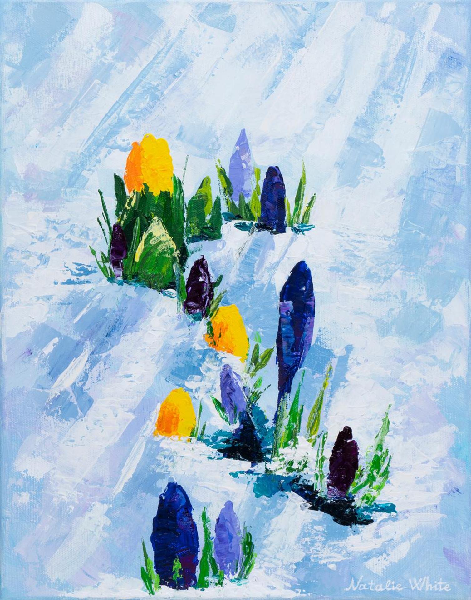 Natalie White (1974) - Crocuses in the Snow