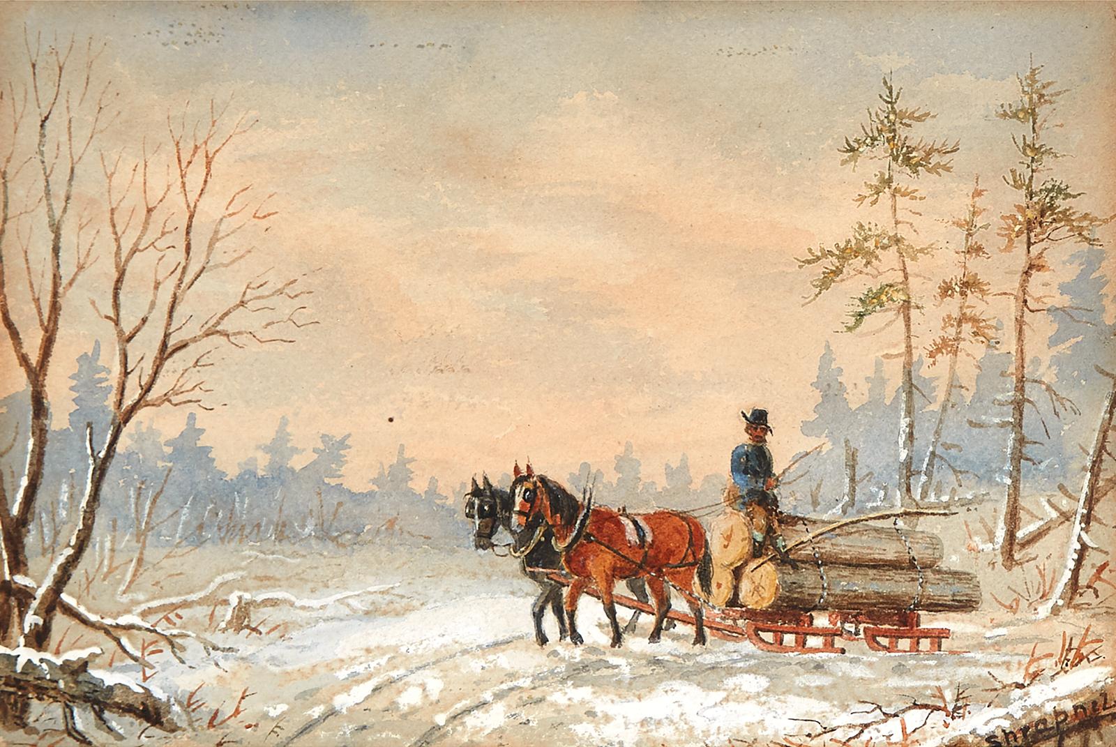 Edward Scrope Shrapnel (1847-1920) - Settler Hauling Logs