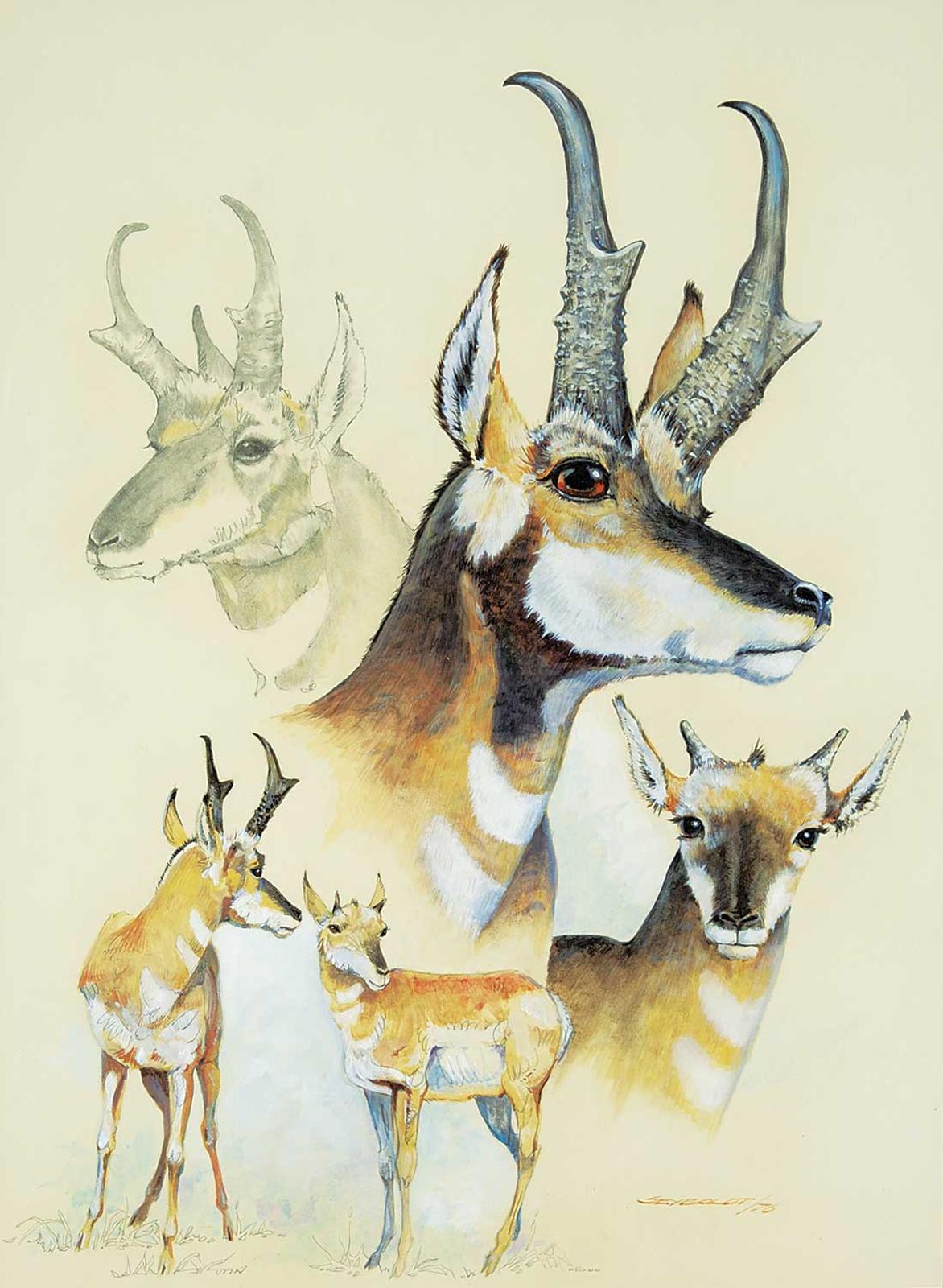 Carl Eugene Seyboldt - Untitled - Pronghorns