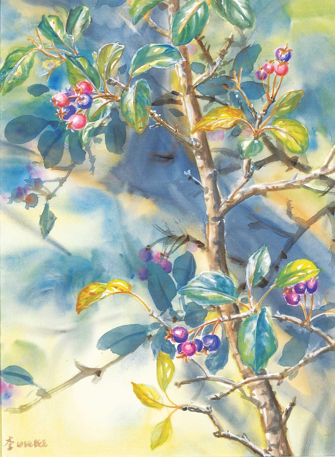 Wee Lee (1955) - Saskatoon Berry