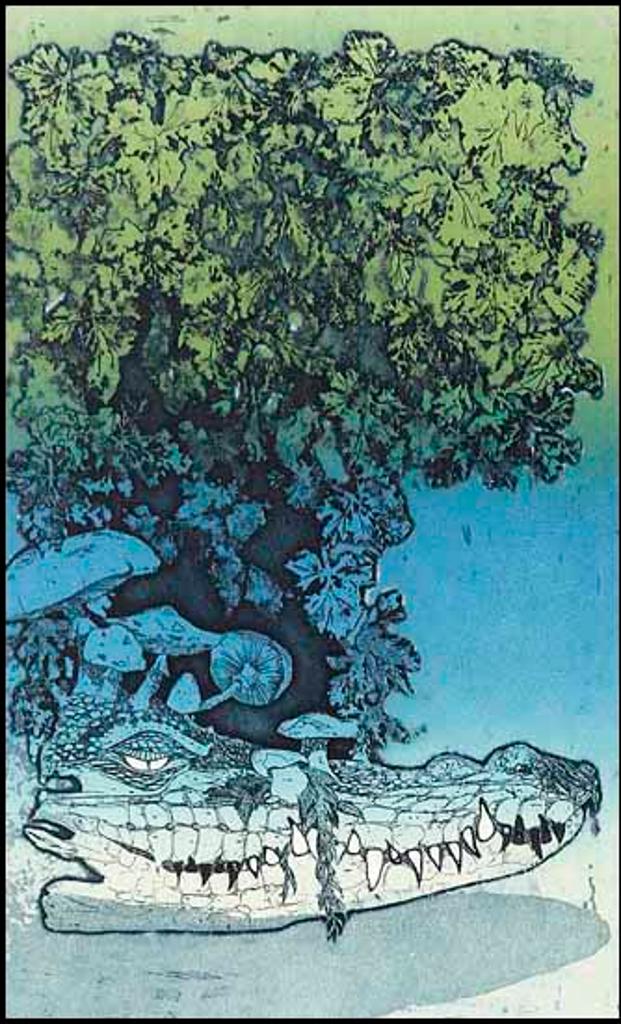 Ron Baird (1940) - Wild Mushrooms (01428/2013-2452)