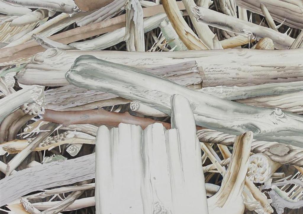 Ted Godwin (1933-2013) - Forest Patterns, Deadfall