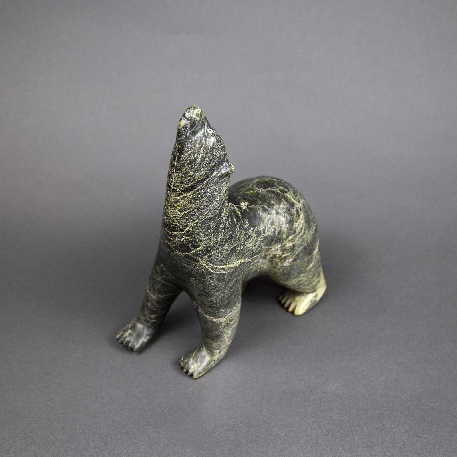 Adamie Ashevak (1959) - Scenting Bear With Inset Eyes