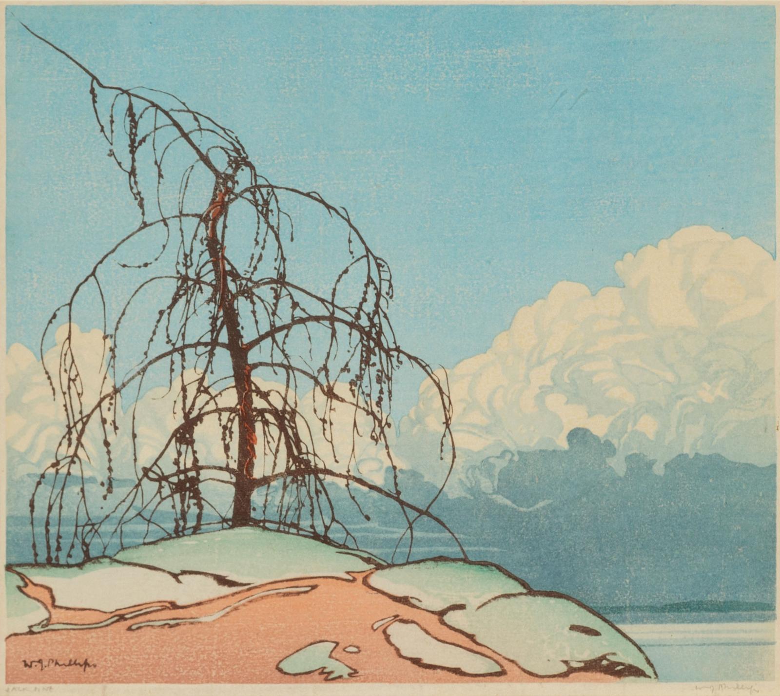 Walter Joseph (W.J.) Phillips (1884-1963) - Jack Pine