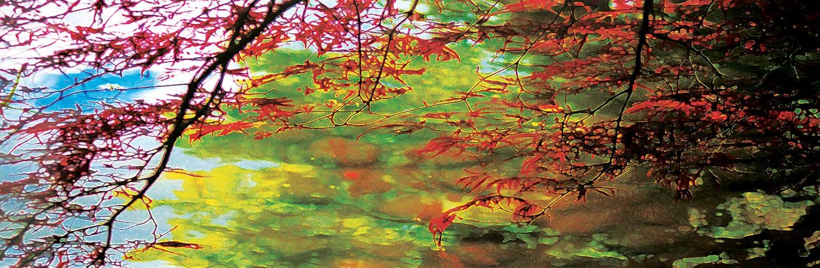 Stephanie Dumanowski - Untitled - The Space Between