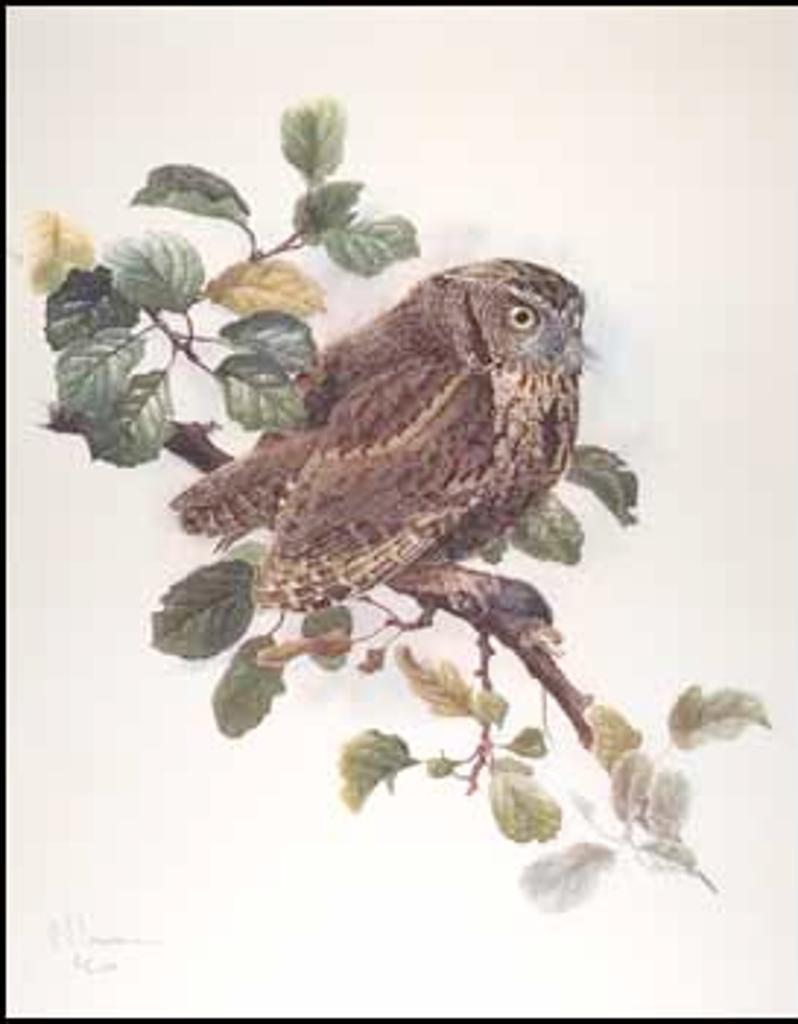 James Fenwick Lansdowne (1937-2008) - Screech Owl