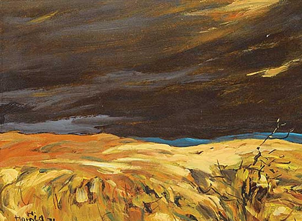 Hans Herold (1925-2011) - Dark Sky