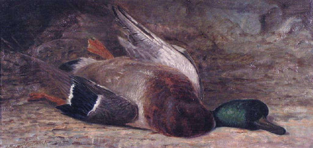 Thomas Mower Martin (1838-1934) - Untitled