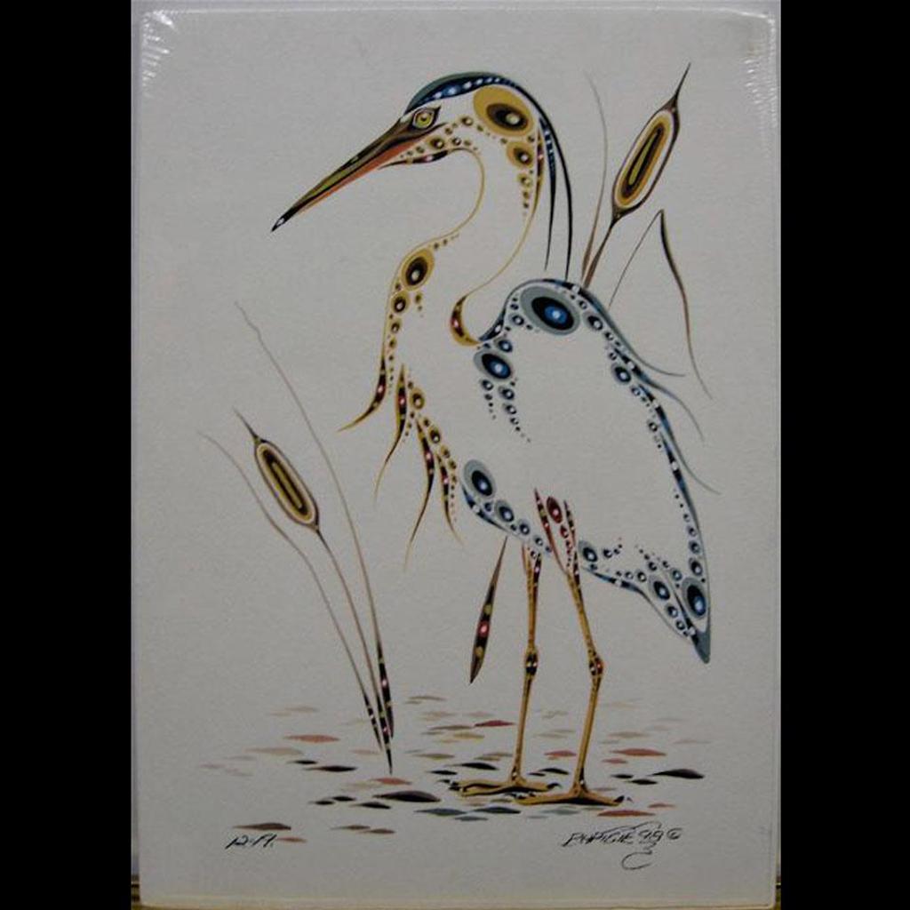Ray Baptiste - Lesser Blue Heron; Wolf; Bird Family