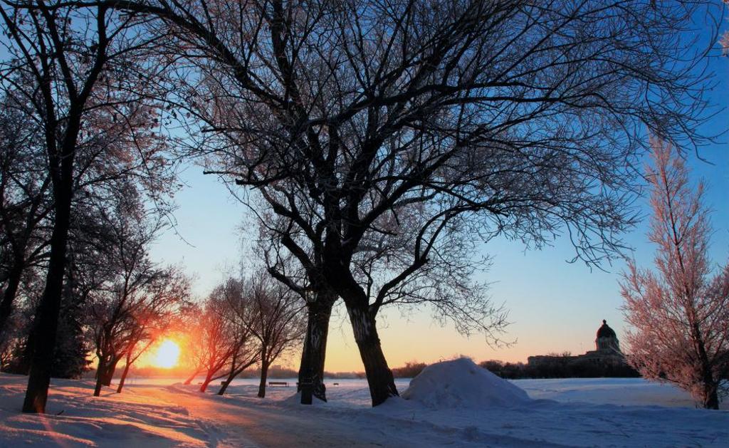 Daniel Paquet - Untitled - Saskatchewan Legislature