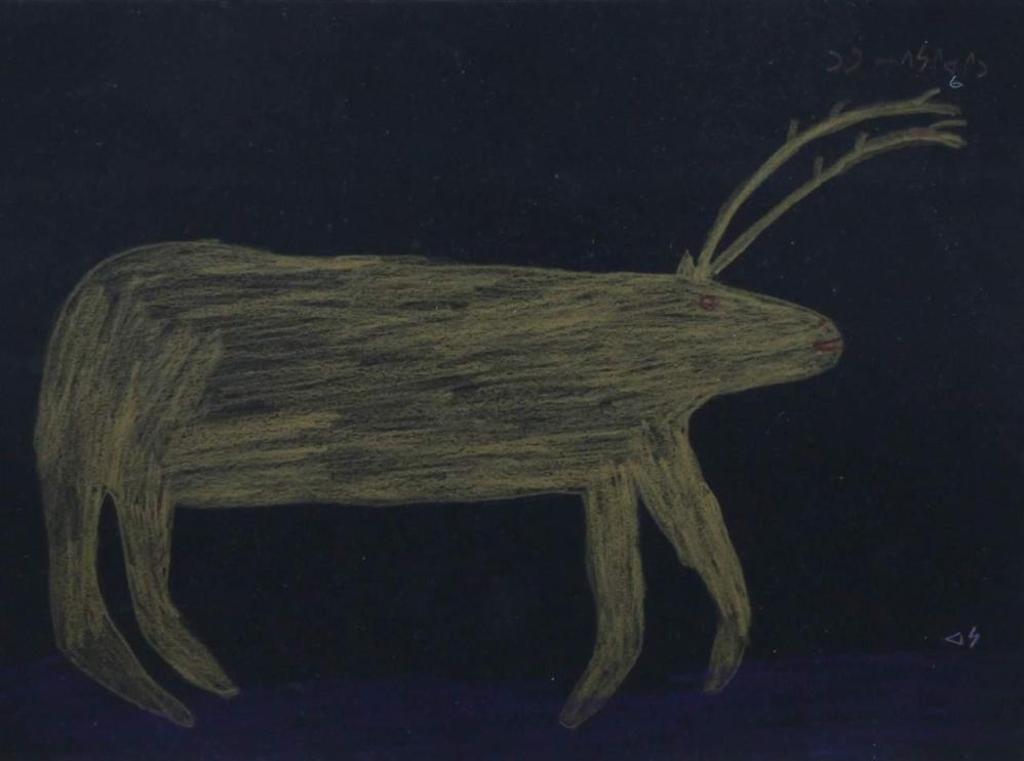 Aisa - caribou