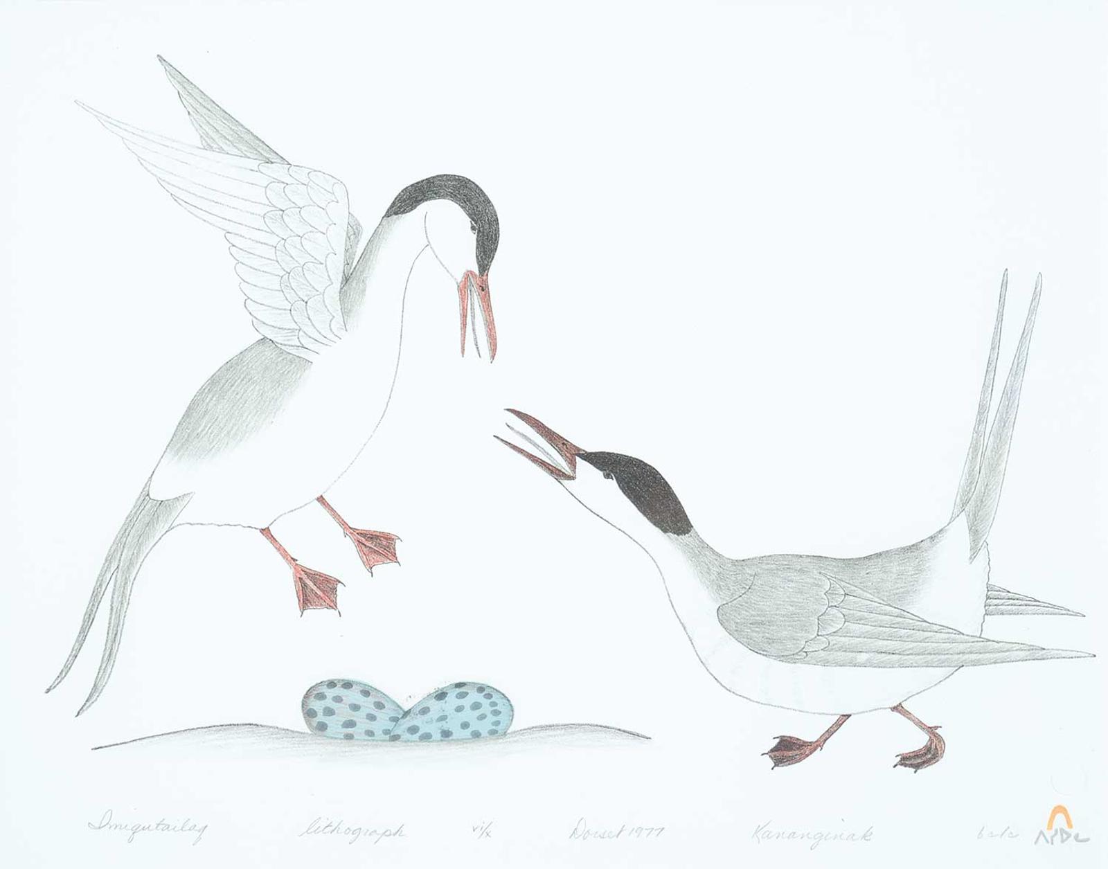 Pootoogook (1887-1958) - Imiqutailaq #VI/X